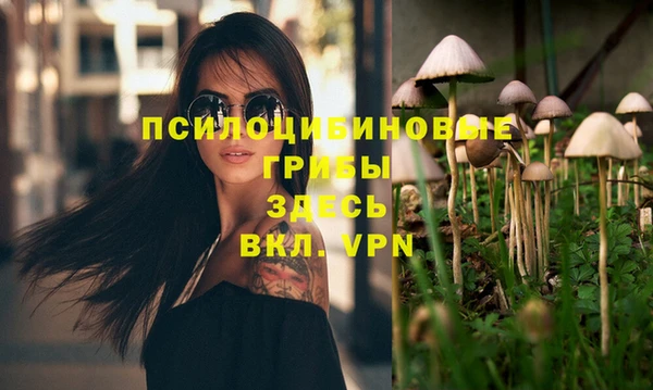 ALPHA PVP Верхний Тагил