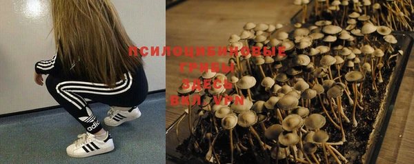 spice Верея