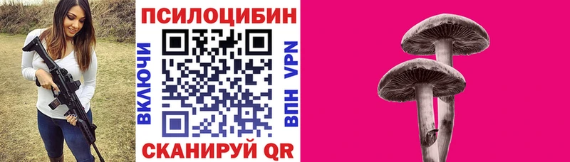 Псилоцибиновые грибы мицелий  Вязники 
