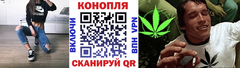 Конопля AK-47 Вязники