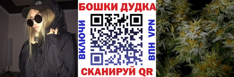 где можно купить наркотик  Вязники  Шишки марихуана сатива 